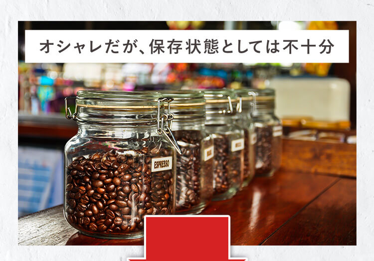コーヒ豆2